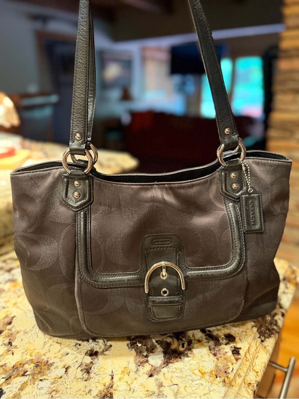 Coach 2013 Black Campbell Canvas Tote Shoulder Bag Metallic Thread Leather Trim